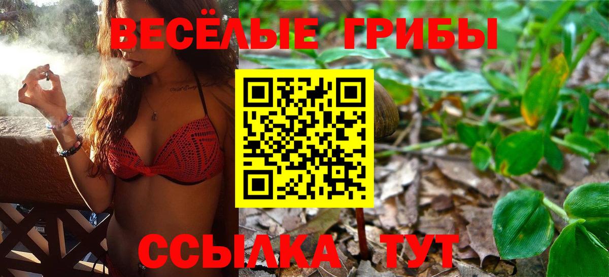 Галлюциногенные грибы мухоморы  Вход с VPN  Вязники 